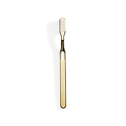 DW 896      Toothbrush - Gold 18 ct.
