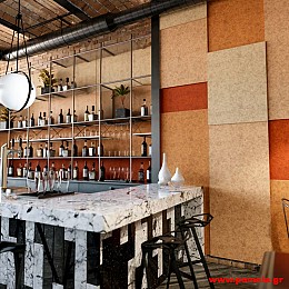 003 Ηχοαπορροφητικά πάνελ με εκτύπωση χρώματος