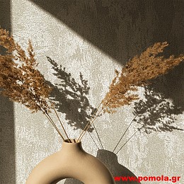 010 Ταπετσαρια τοιχου CT RMNC zrv