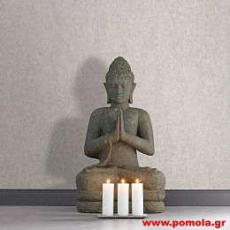 082 Ταπετσαρια τοιχου CT RMNC zrv