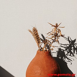 091 Ταπετσαρια τοιχου GZSZ zrv
