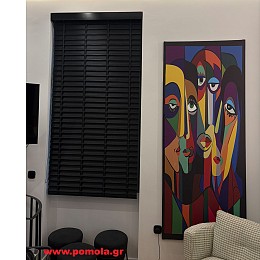 1219 Σκίαση με συστημα woody