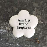 Βότσαλο λουλούδι-Amazing Grand daughter