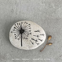Βότσαλο λευκό-Dandelion