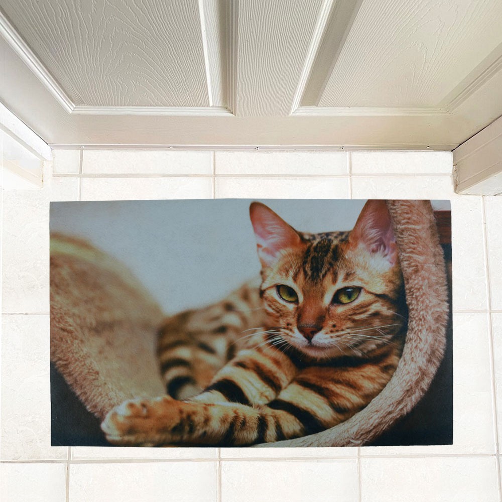 ΠΑΤΑΚΙ ΕΙΣΟΔΟΥ SLEEPY CAT 45X75