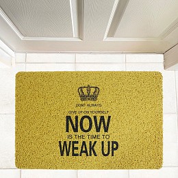 ΠΑΤΑΚΙ ΕΙΣΟΔΟΥ 40X60 WAKEUP