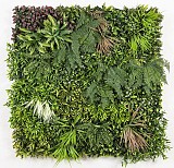 ΚΑΘΕΤΟΣ ΚΗΠΟΣ  PARIS 100 Χ 100 MZ189023A NewPlan