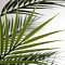 PALM TREE  NP160_210_UV  ΥΨΟΣ 210cm NewPlan