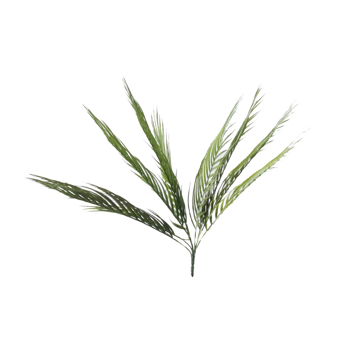 Supergreens Τεχνητός Χωνευτός Φοίνικας Χαμαιδώρεα Πράσινος Σκούρος 50 εκ.