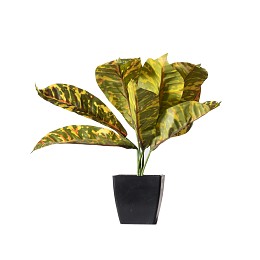 Supergreens Τεχνητό Φυτό Κρότωνας Κίτρινο 30 εκ.