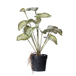 Supergreens Τεχνητό Φυτό Καλάδιο Candidum "Junior" Πράσινο 37 εκ.