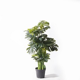 Supergreens Τεχνητό Δέντρο Μονστέρα Deliciosa Πράσινο 145 εκ.