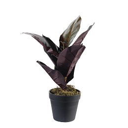 Supergreens Τεχνητό Φυτό Φίκος Elastica Ruby Πράσινο 36 εκ.