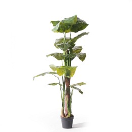 Supergreens Τεχνητό Δέντρο Αλοκάσια Elephant Ears Πράσινο 170 εκ.