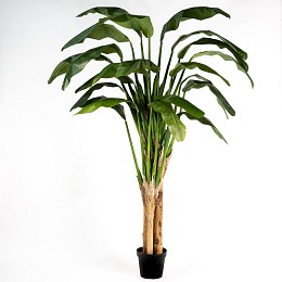 Supergreens Τεχνητό Δέντρο Μπανανιά Πράσινο 250 εκ.