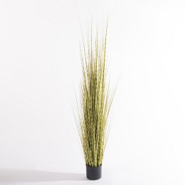 Supergreens Τεχνητό Φυτό Χορτάρι Στίπα "Zebra" Πράσινο 170 εκ.