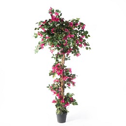 Supergreens Τεχνητο Δέντρο Βουκαμβίλια Φούξια 125 εκ.