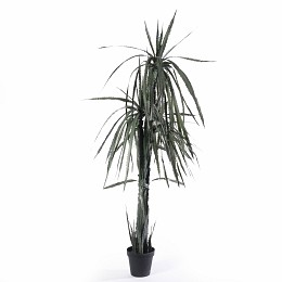 Supergreens Τεχνητό Φυτό Πάνδανος "Fragrante" Πράσινο 210 εκ.