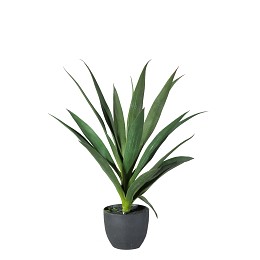 Supergreens Τεχνητό Φυτό Γιούκα Πράσινο 60 εκ.