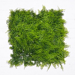 Supergreens Τεχνητή Φυλλωσιά Φτέρη "Classic" 50x50 εκ.