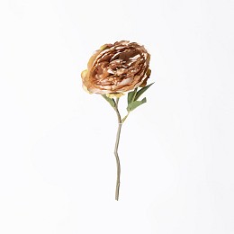 Supergreens Τεχνητό Κλωνάρι Παιώνια Καφέ 34 εκ.