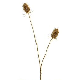 Supergreens Τεχνητό Κλαδί Ερύγγιο Χρυσό 82 εκ.