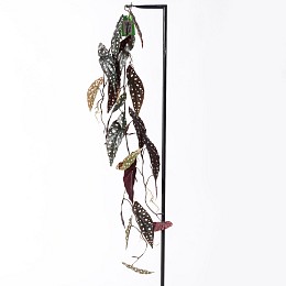 Supergreens Τεχνητή Γιρλάντα Μπιγκόνια Maculata Πράσινη 120 εκ.