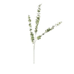 Supergreens Τεχνητό Κλαδί Ευκάλυπτος Πράσινο 109 εκ.