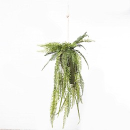 Supergreens Τεχνητή Κρεμαστή Ρίζα Φτέρη "Boston" Πράσινη 122 εκ.