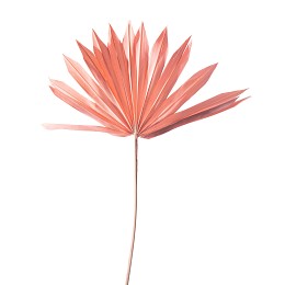 Supergreens Τεχνητό Φύλλο Φοίνικας "Serenoa" Ροζ 30x30x50 εκ.