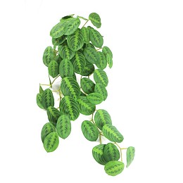 Supergreens Τεχνητή Κρεμαστή Καλαθέα "Zebrina" Πράσινη 85 εκ.