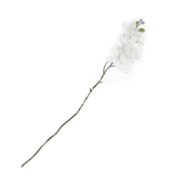 Supergreens Τεχνητό Κλωνάρι Ορχιδέα Χιονισμένη Λευκή 80 εκ.