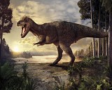 DUTCH WALL DECOR NATURAL HISTORY NH250028-DWD Ταπετσαρίες τοίχου