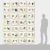 DUTCH WALL DECOR NATURAL HISTORY NH250034-DWD Ταπετσαρίες τοίχου