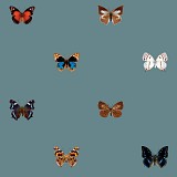 DUTCH WALL DECOR NATURAL HISTORY NH250056-DWD Ταπετσαρίες τοίχου