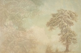 KT-Exclusive GEMINI KT929-M-MATTVINYL-KTE Ταπετσαρίες τοίχου