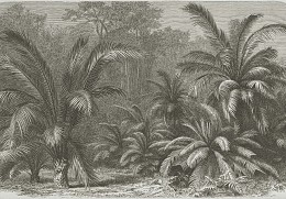 DUTCH WALL DECOR NATURAL HISTORY NH250029-DWD Ταπετσαρίες τοίχου