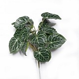 Supergreens Τεχνητό Χωνευτό Ανθούριο Clarinervium Πράσινο 55 εκ.