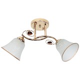 Φωτιστικό οροφής 2 Χ Ε27 46Χ18Χ26 εκ. χρυσό με γυαλιά - GLOBOBOX 7385A/2 FGD