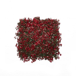 Supergreens Τεχνητή Φυλλωσιά Φτέρη "Alpine" Κόκκινη 50x50 εκ.