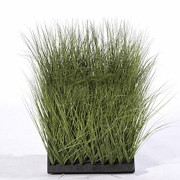 Supergreens Τεχνητή Φυλλωσιά Χορτάρι "PriveLine" Πράσινο 50x90 εκ.