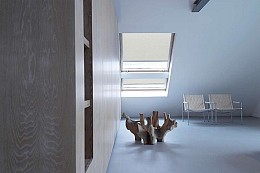029 protasi skiasis