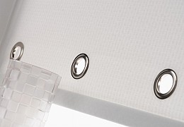 019 roller protasi