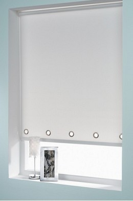 020 roller protasi
